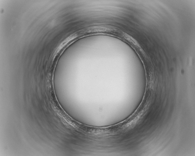 X0000059040786200511041635