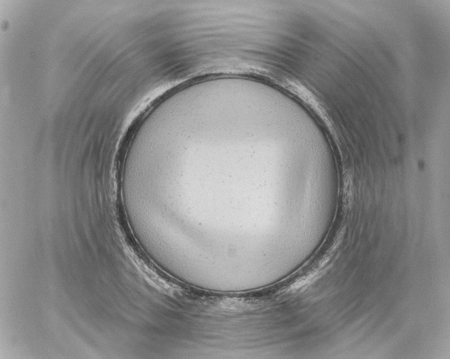 X0000059040787200511041635