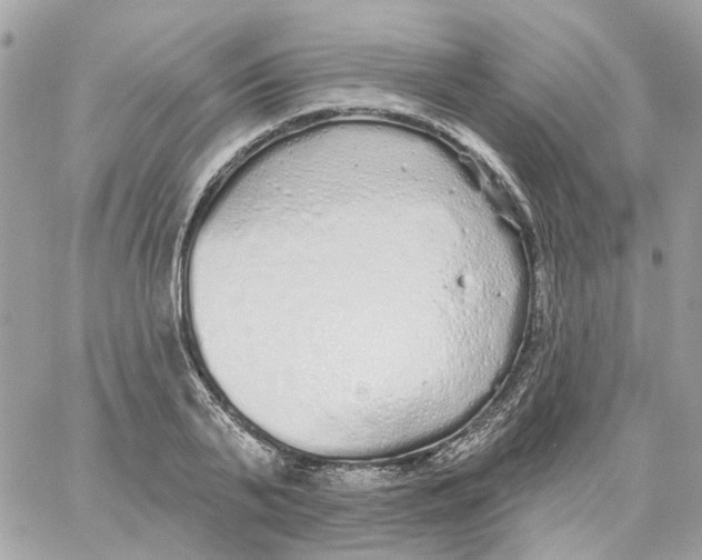 X0000059040791200511041635