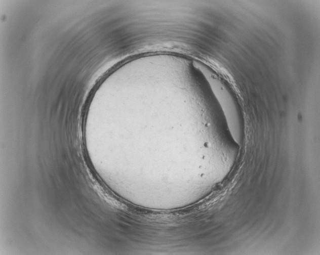 X0000059040792200511041635