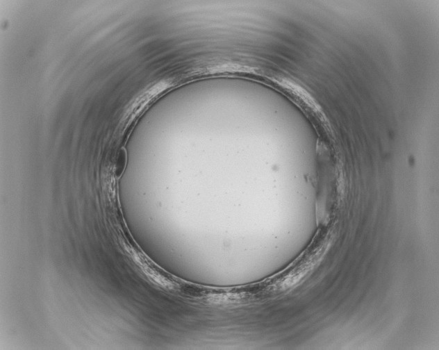 X0000059040793200511041635