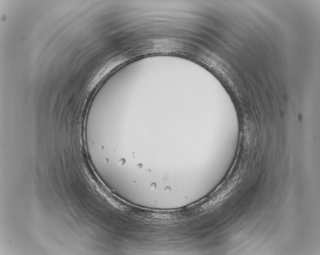 X0000059040794200511041635