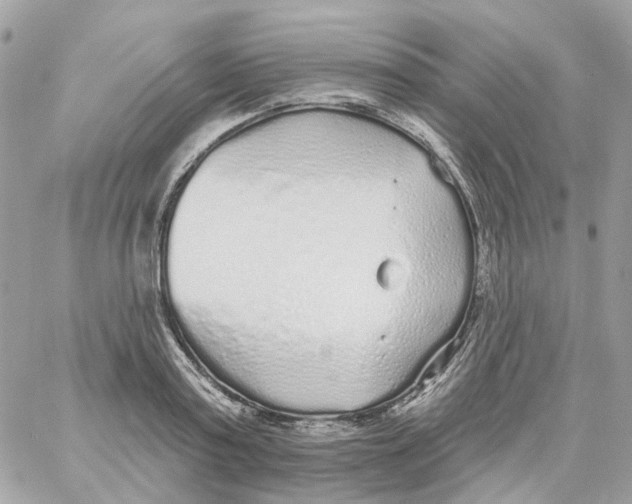 X0000059040795200511041635