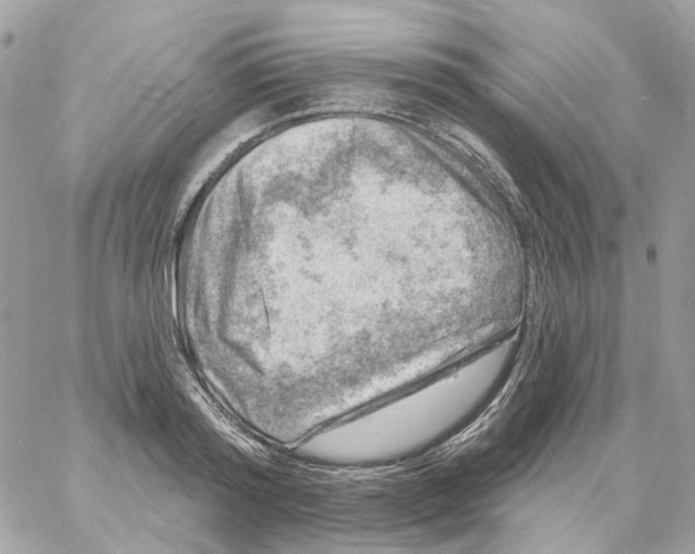 X0000059040796200511041635