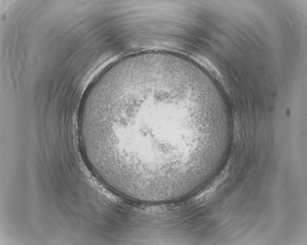 X0000059040798200511041635