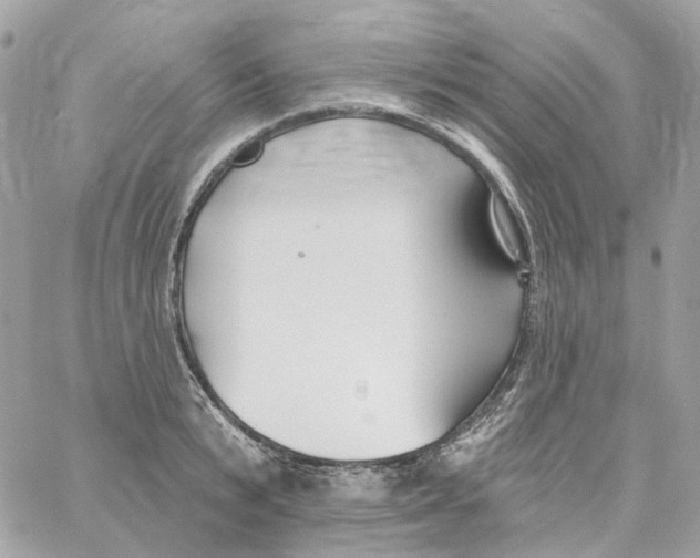 X0000059040799200511041635