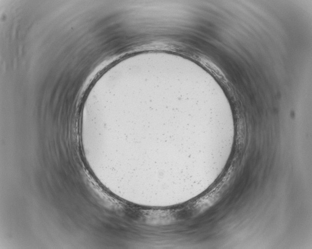 X0000059040800200511041635