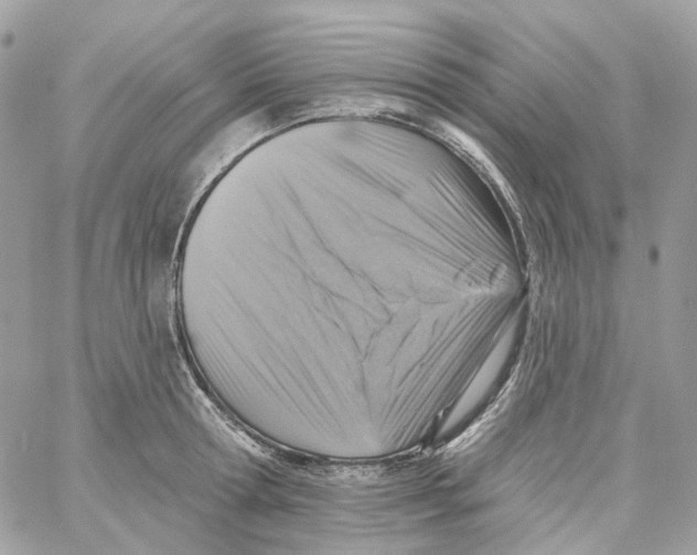 X0000059040802200511041635