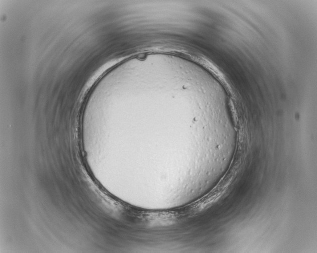 X0000059040803200511041635