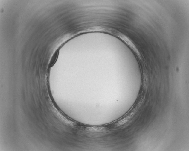 X0000059040805200511041635