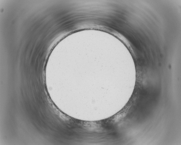 X0000059040807200511041635