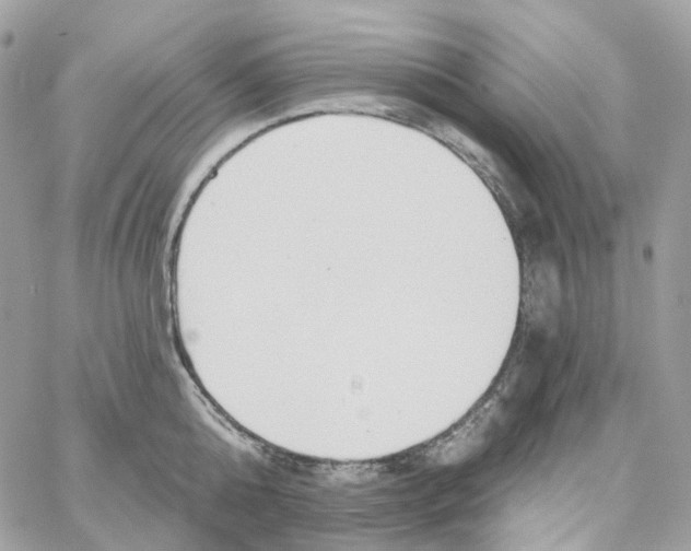 X0000059040808200511041635