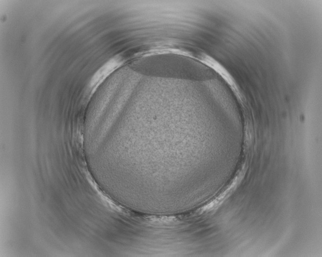 X0000059040809200511041635