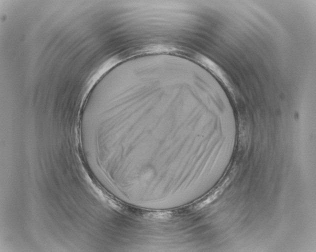 X0000059040810200511041635