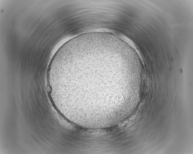 X0000059040811200511041635