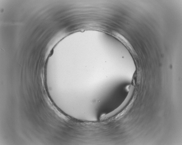 X0000059040812200511041635