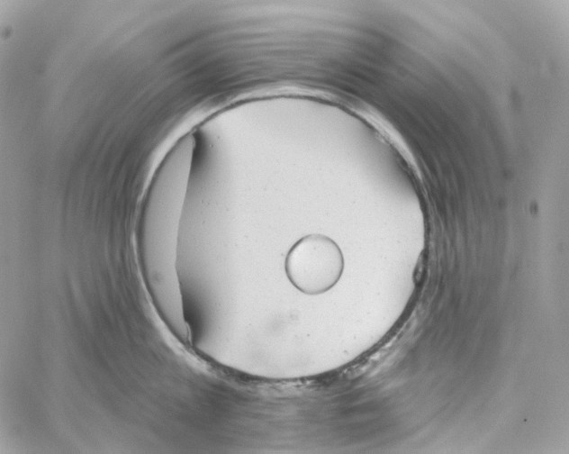 X0000059040813200511041635