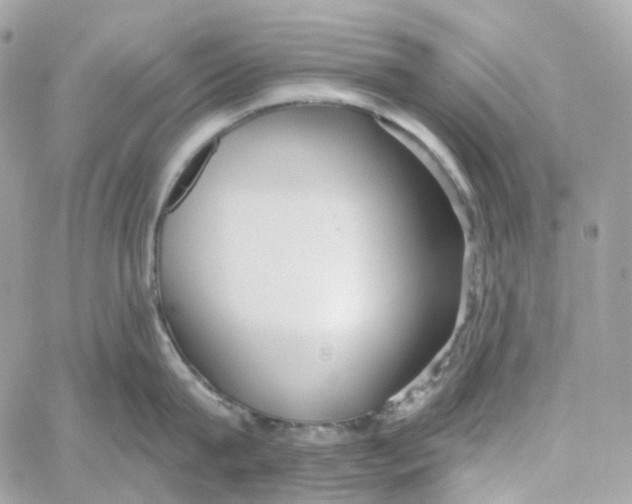 X0000059040815200511041635