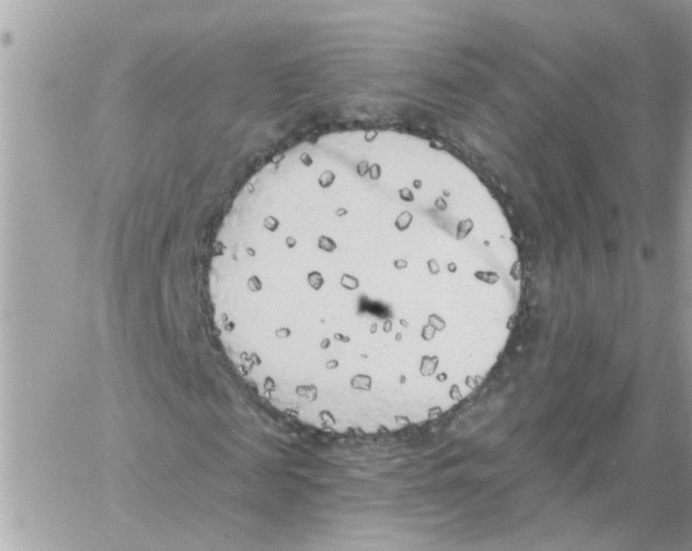 X0000059040817200511041634