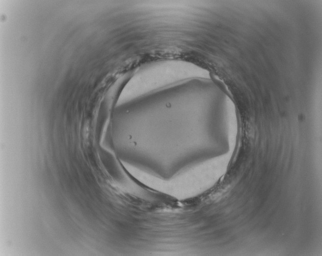 X0000059040818200511041634