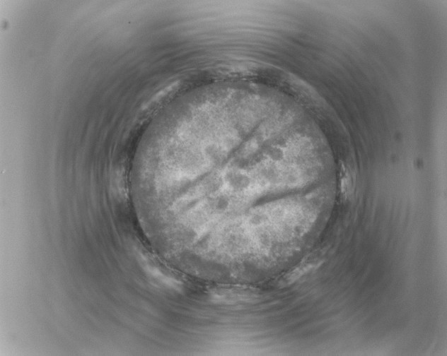 X0000059040819200511041634