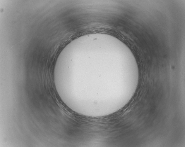 X0000059040820200511041634