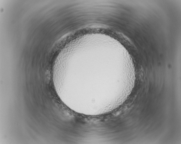 X0000059040821200511041634