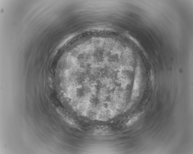 X0000059040823200511041634