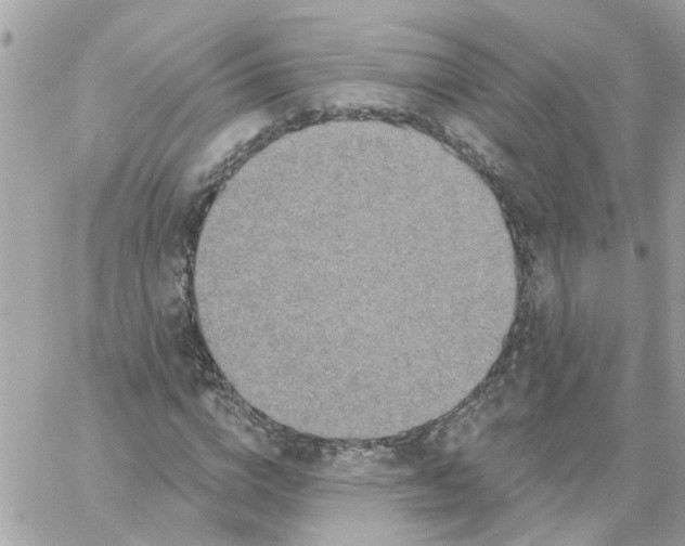 X0000059040824200511041634