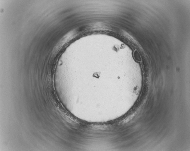 X0000059040825200511041634