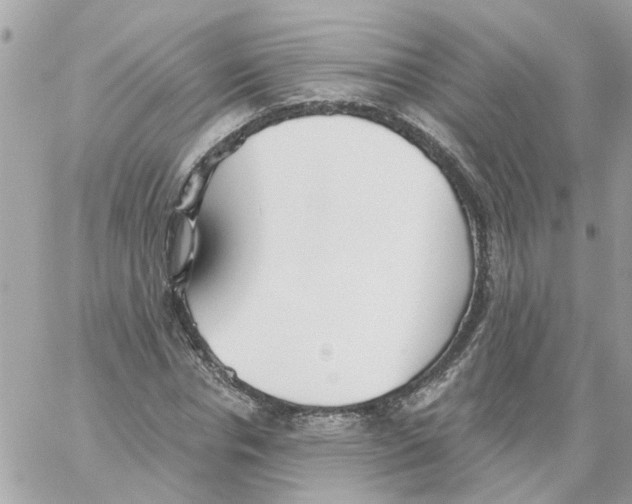 X0000059040826200511041634