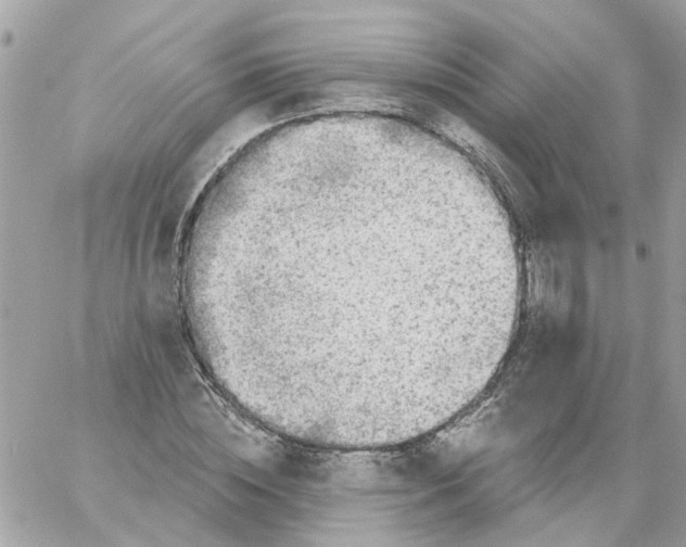 X0000059040828200511041634