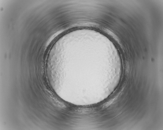 X0000059040829200511041634