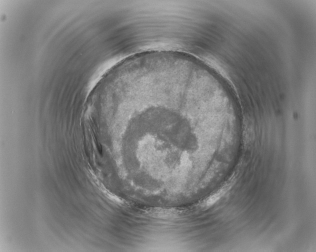 X0000059040831200511041634