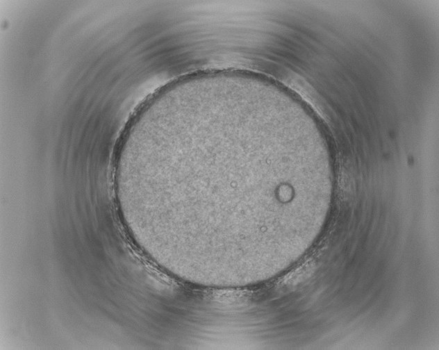 X0000059040832200511041634