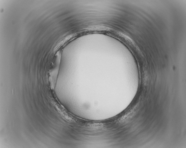 X0000059040833200511041634