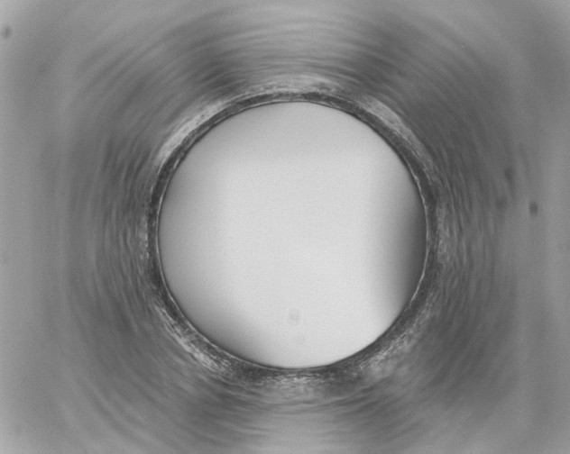 X0000059040834200511041634