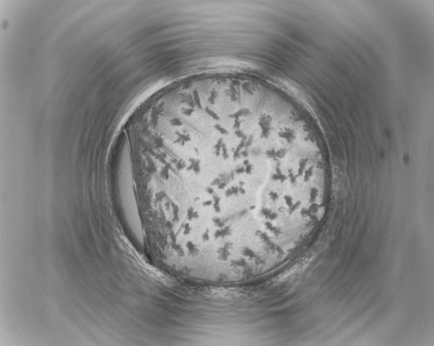 X0000059040835200511041634