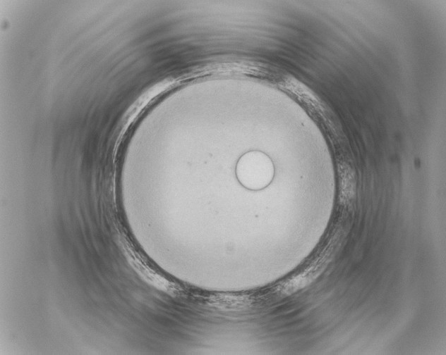 X0000059040836200511041634