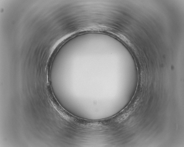 X0000059040838200511041634