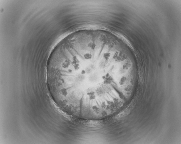 X0000059040839200511041634