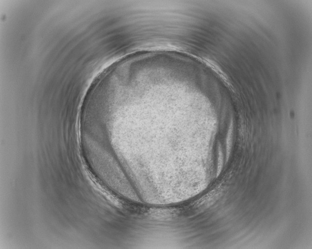 X0000059040840200511041634