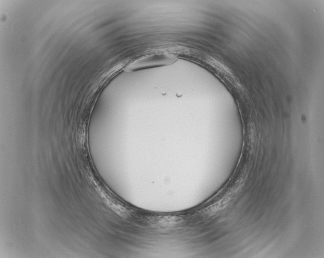 X0000059040841200511041634