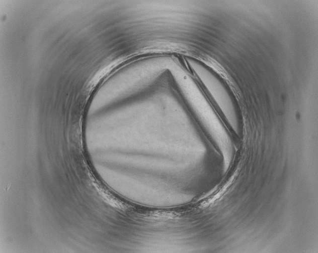 X0000059040842200511041634