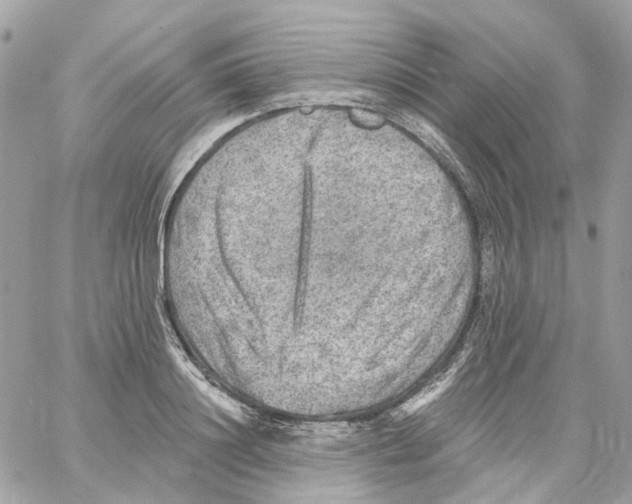 X0000059040844200511041634