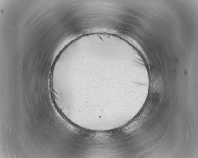 X0000059040847200511041634