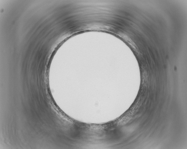 X0000059040848200511041634