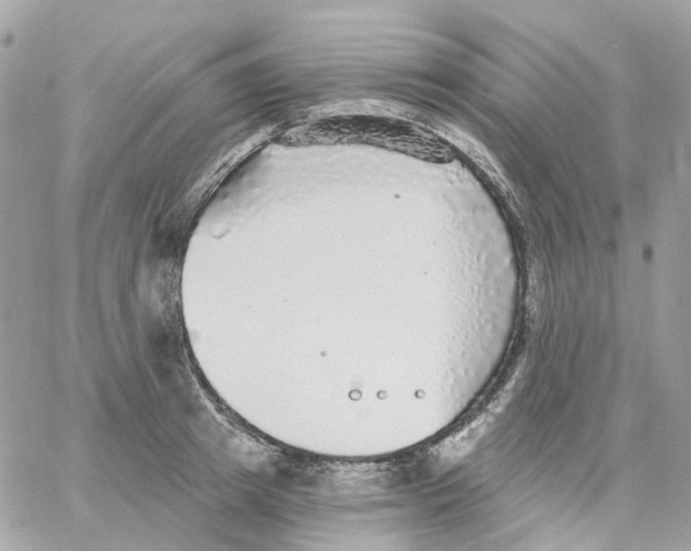 X0000059040849200511041634