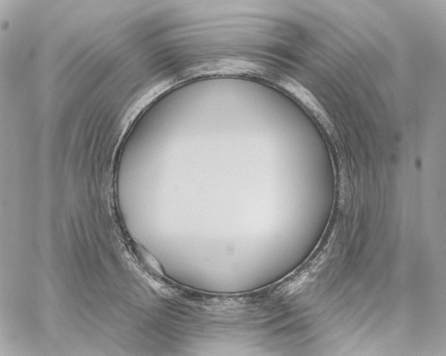 X0000059040850200511041634