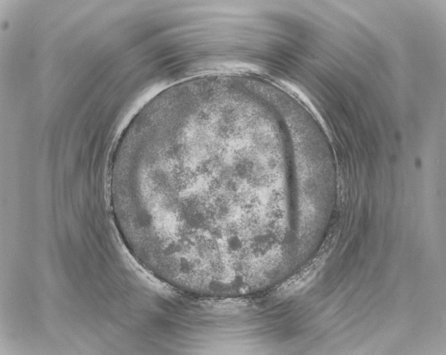 X0000059040851200511041634